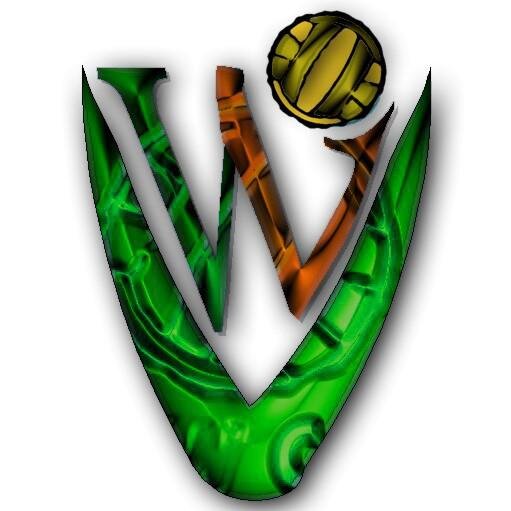 Equipo de waterpolo de Valdepeñas que compite en la liga de Castilla-La Mancha y en la liga de Murcia