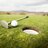 Golf tweets