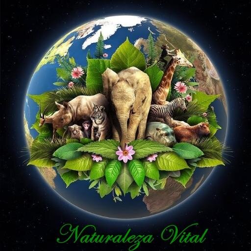 NaturalezaVital Profile Picture