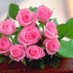 Noor jahan (@noorjahan110) Twitter profile photo Noor jahan (@noorjahan110) Twitter profile photo
