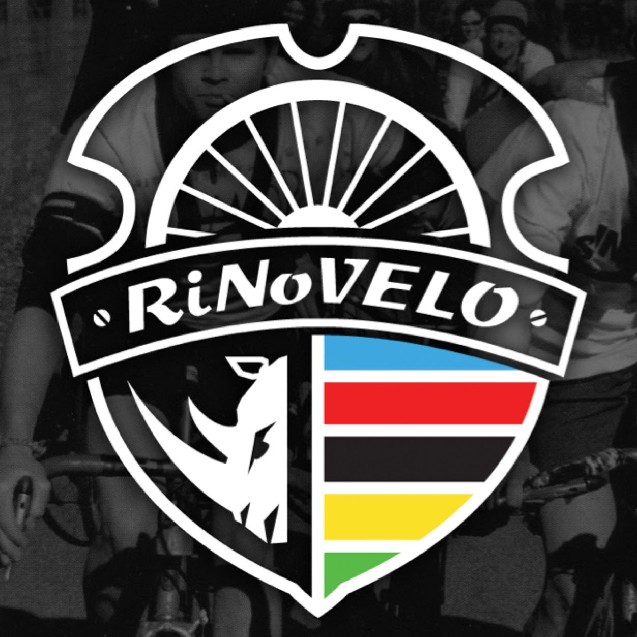 RiNoVELO Profile Picture