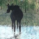 Patty Hill - @thepattypuffer - Twitter