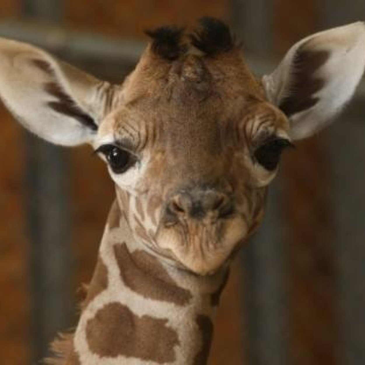 tgataylor's profile picture. Father, husband, teacher, and neoluddite!!