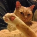 Michael Blom - @memetrek - Twitter