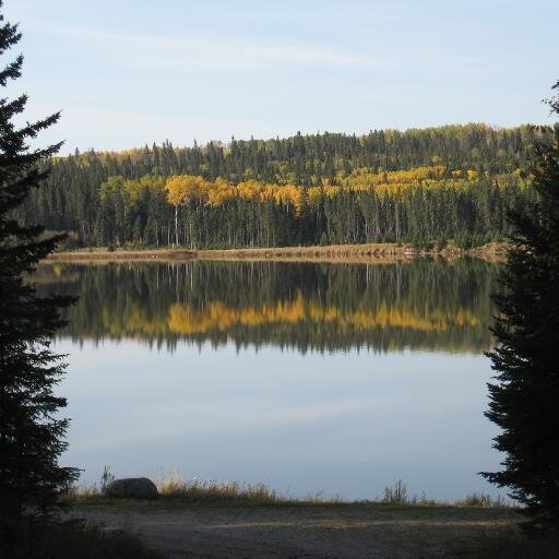 raylerminiaux's profile picture. 