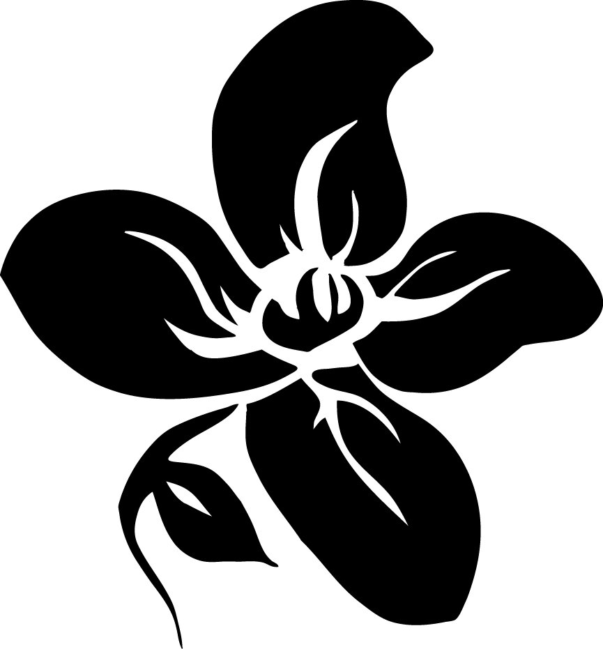Graphic Design, Web Design, Multi-media Art & Craft, Digital Photography & Developement, Performer & Lamens' Verbal Specialist Extroidinaire.