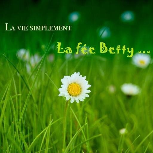 je suis Betty Simplement ...
écrivain-Poéte
Je graffe dans la ville ...