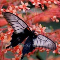Maria del Mar Perez (@marimar_caspio) 's Twitter Profile