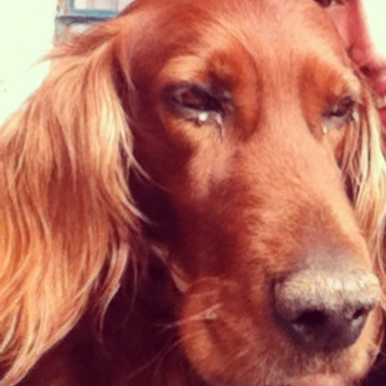 andresromor's profile picture. 