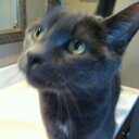 Caryn Penn - @PennCaryn - Twitter