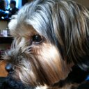 Barry - @barry_burnette - Twitter