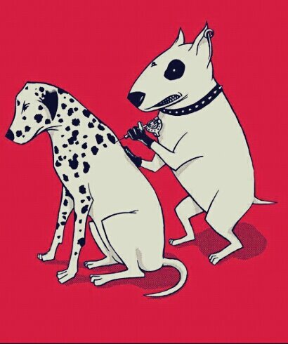 aprovecha lo que tienes no lo que te dan. Diseñadora y futura tatuadora