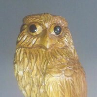 愚かな風 (@idiotwd) 's Twitter Profile Photo