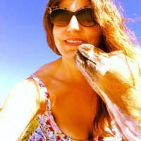 Mindi Levine (@mindilevine) 's Twitter Profile