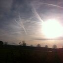 Anne Lustig - @LustigAnne - Twitter