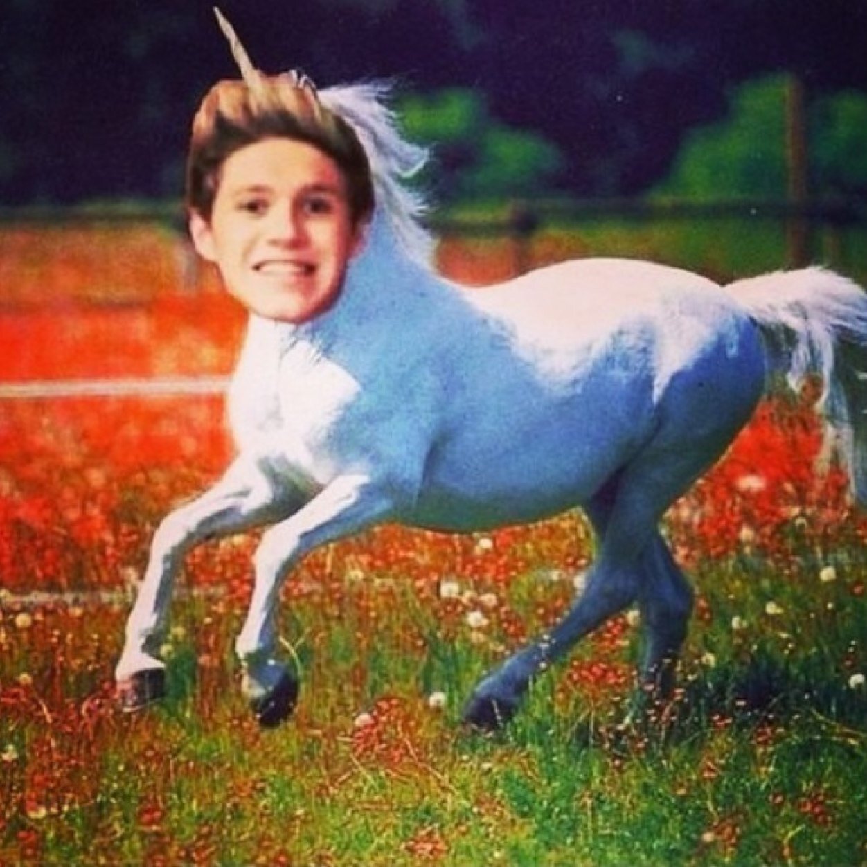 Im still a guy, i just happen to love Niall Horan... Stay gucci my friends LARRY IS OTP