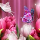 Olga Blanco - @OlgaBlanco15 - Twitter