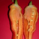 Lee Wick - @LwWick - Twitter