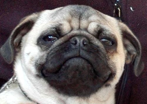 usergenerated's profile picture. 