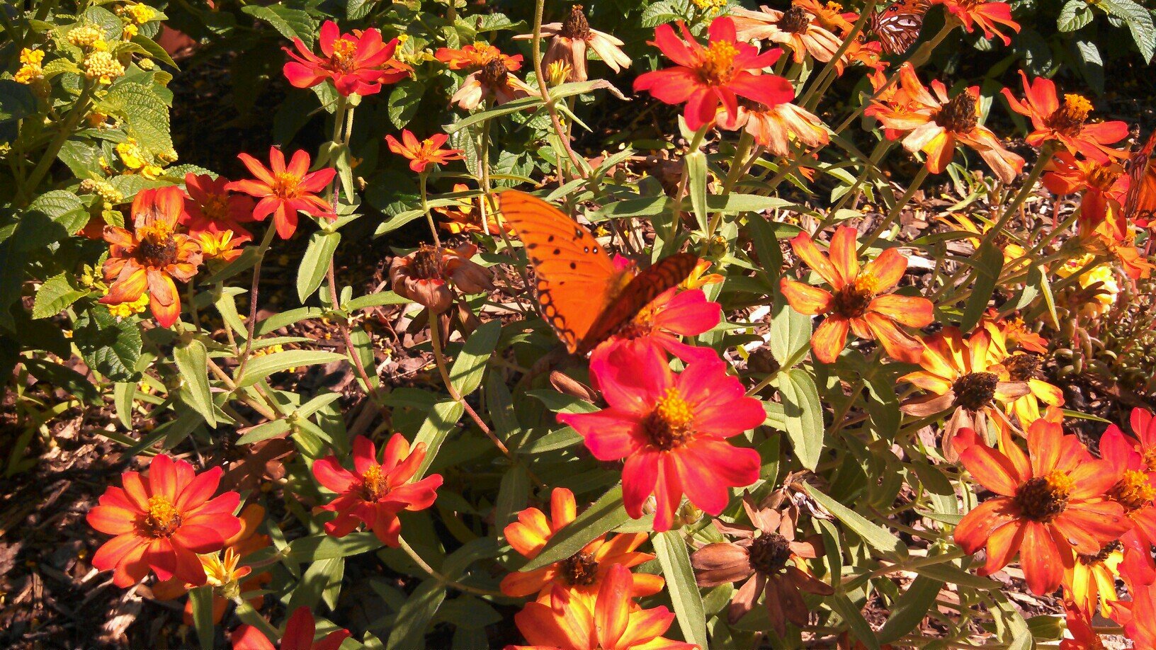 su7an's profile picture. 