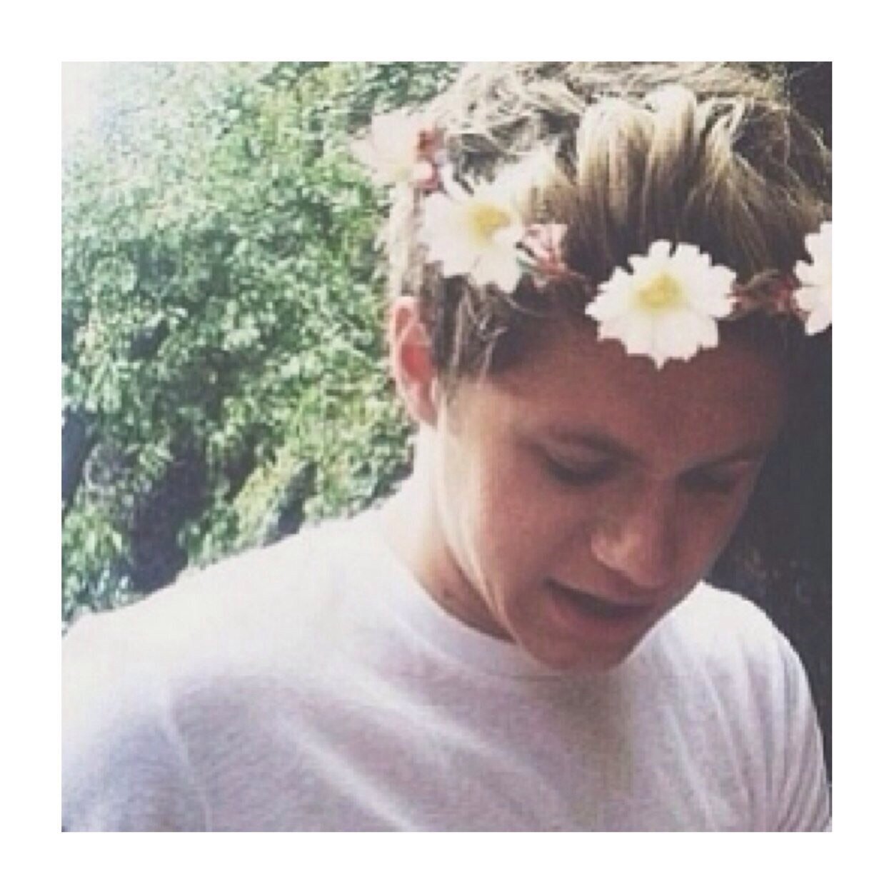 please follow @shirtlessharryy  thanks ily