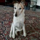 Ellen Angel - @EllenAngel3 - Twitter