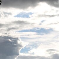 PAUSE (@pausebcn) 's Twitter Profile