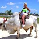 beverley collins - @bevlexi - Twitter