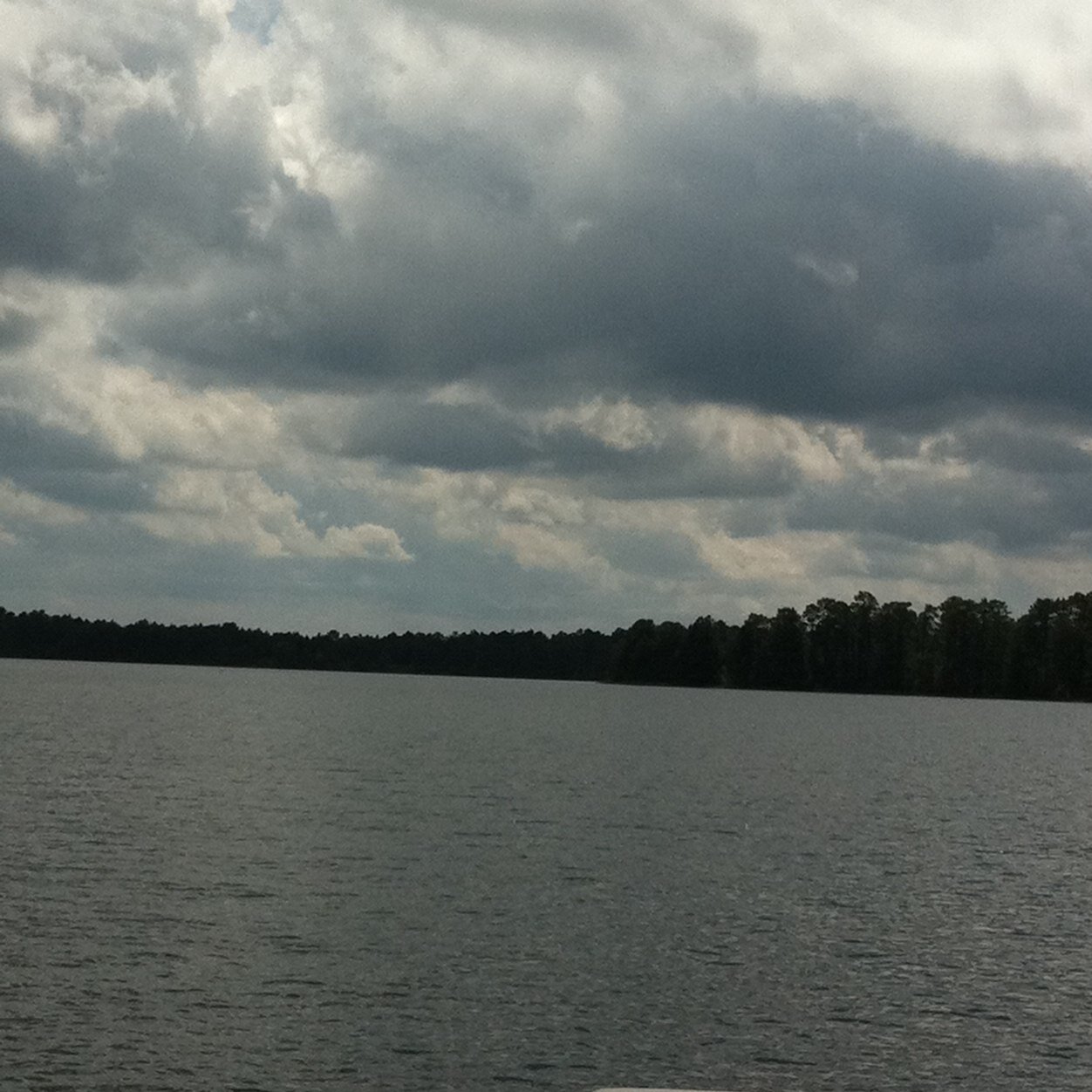 Sarilil's profile picture. 