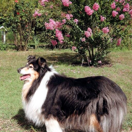 Freya45551130's profile picture. Déprimée de voir ce que devient mon Pays j'espère bientôt du changement...