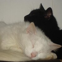 Ufka (@ufka2) 's Twitter Profile Photo Ufka (@ufka2) 's Twitter Profile Photo