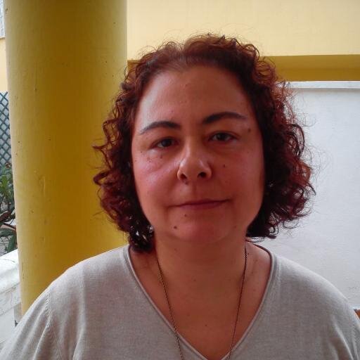 Licenciada en Ciencias Físicas en UGR 
Profesora de un colegio concertado