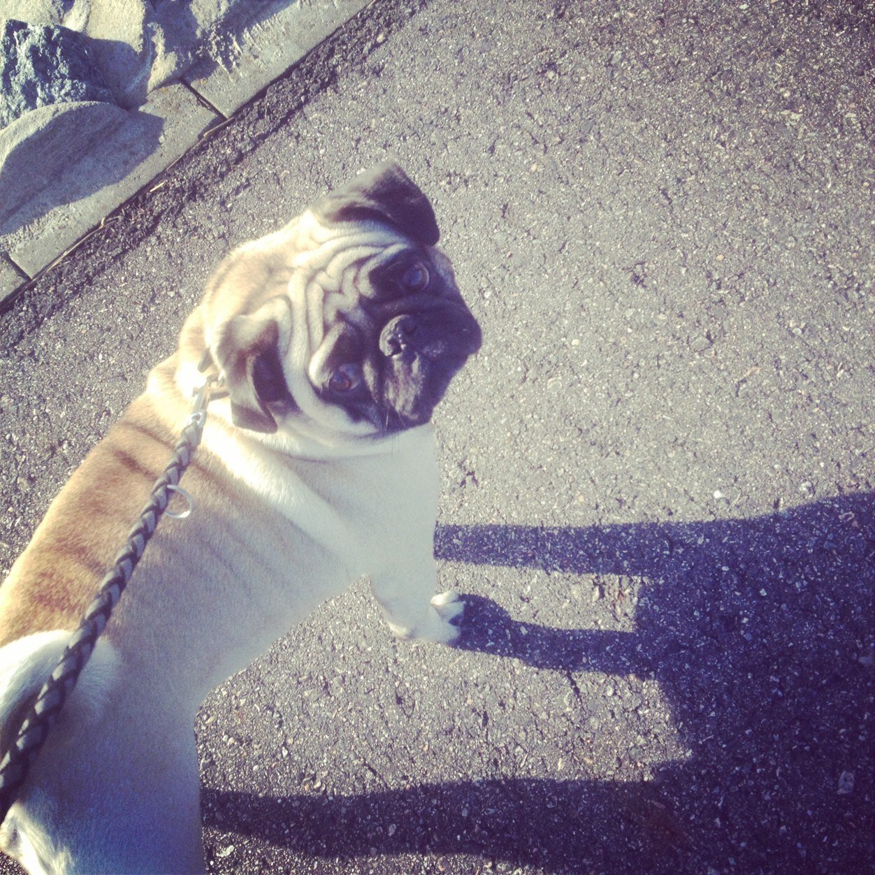 KilianWildeboer's profile picture. Penis