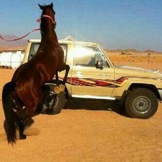 ‏‏ابشكي بعد ربي على مقدم العتبان

الكويت ....؟