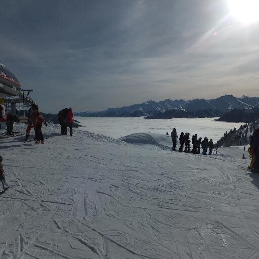 paulsh1000's profile picture. 