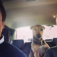 will tanner (@willtanner2) 's Twitter Profile