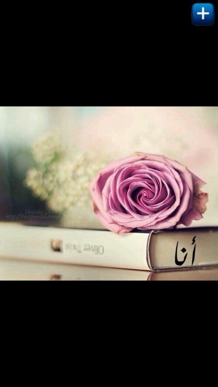 Ashwagalhammadi's profile picture. أنا وردة أنا نسمة عبير تنعش خفايا الروح والأنفاس