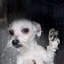 Juana Davalos - @juana_davalos - Twitter