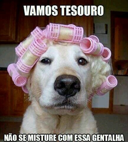 CaamilaRana's profile picture. #OperaçãoTimBeta! Sigo de volta.