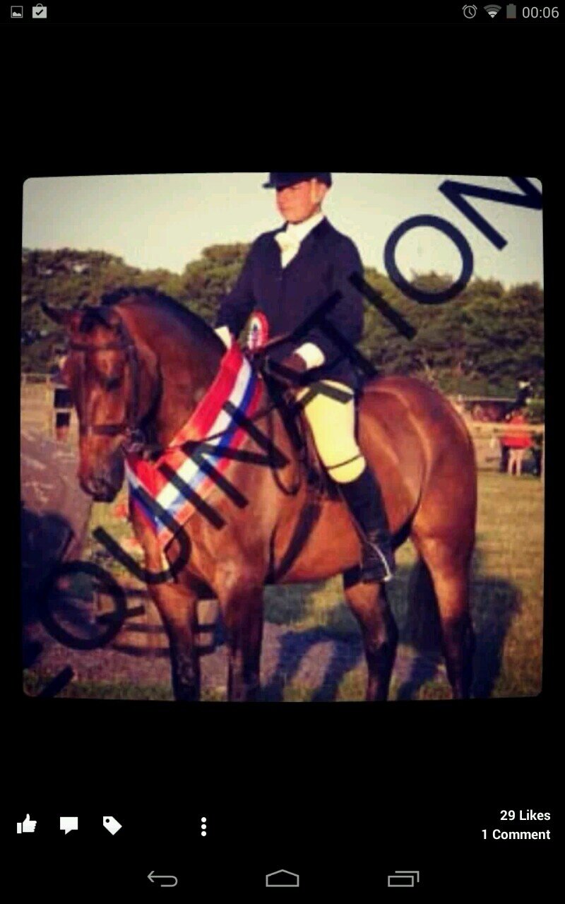 Hi I'm Scott im nearly 17 years old have horses and no1 Christina Aguilera fan  !!!! x follow for refollow :)