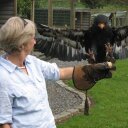 Sally Kendall - @SallyKendall6 - Twitter