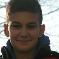 dino (@dinoalicehajic1) 's Twitter Profile