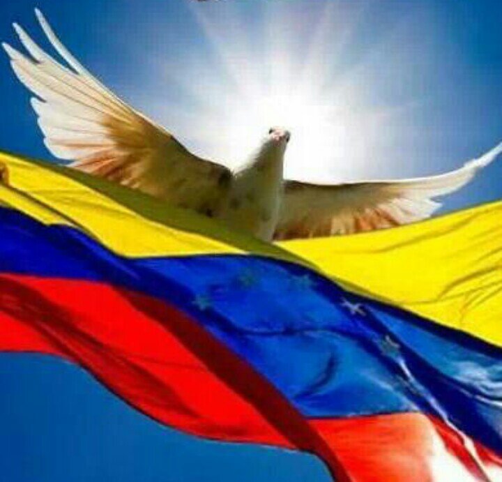 Nereydadelimag's profile picture. 