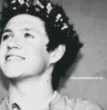 free follow account! your welcome! now go follow @snugglyniallerr since she gave you a free follow
