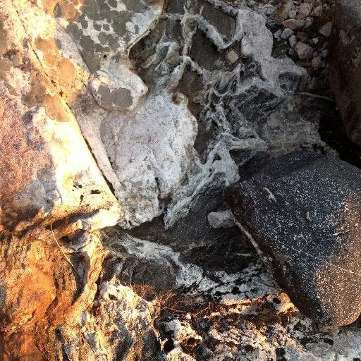 LJWhetung's profile picture. 