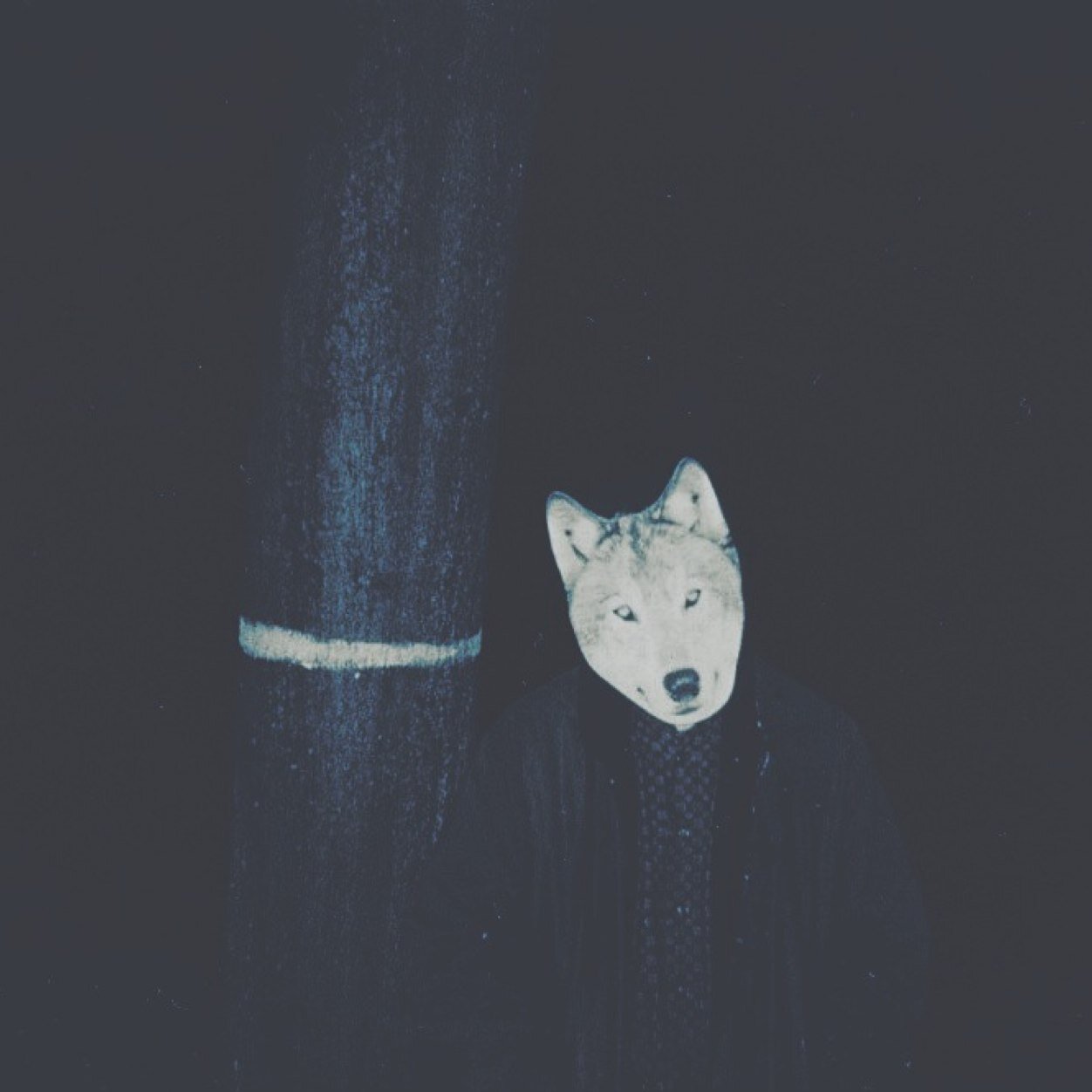 Music Artist, Producer & DJ • Contact & Bookings: wolfinghour@gmail.com