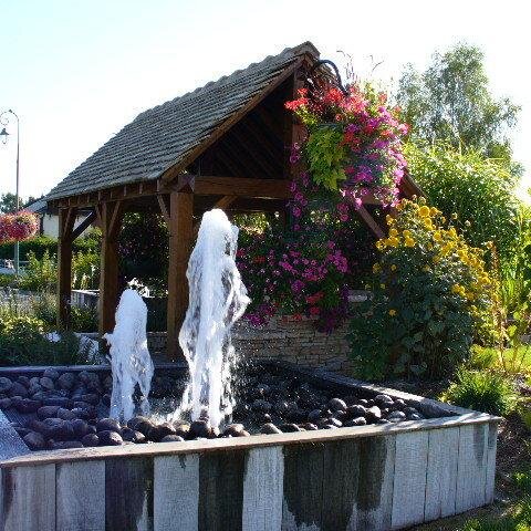 ledouit1's profile picture. 