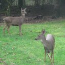 JEFF BARHAM - @Hot2000chevJEFF - Twitter