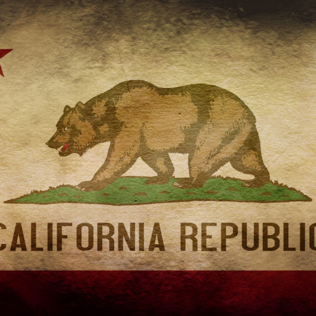 FrenchieBruh's profile picture. 