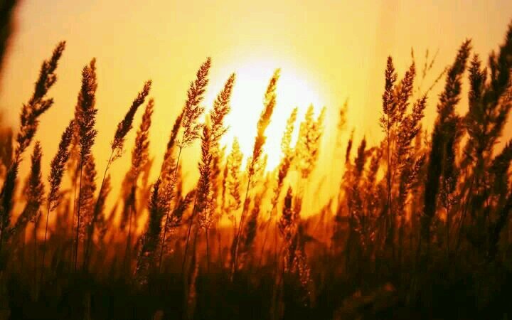 Be Happy !!! Let people around you also be Happy !!!